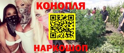 трава Краснодар